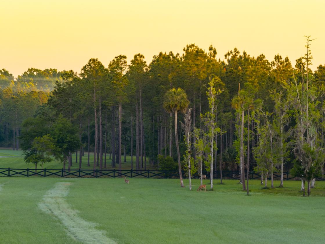 Phillips Ranch | 5,110± Acre World-Cch - photo 28