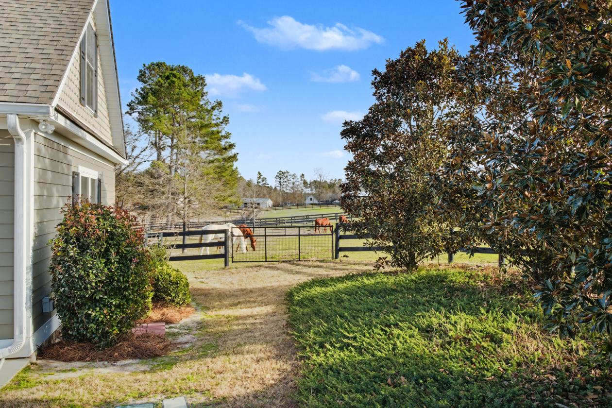 The total package horse property - photo 2