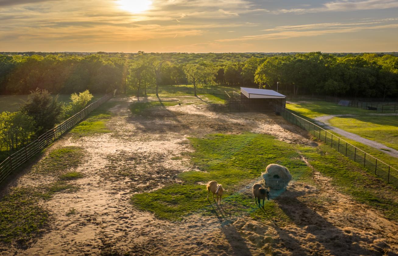 Spirit Ranch - Luxury NTX Equestrian Estate - photo 18
