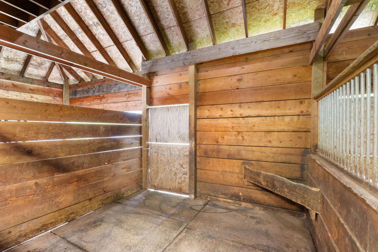 6.75 Acres of NW pastureland and endless trails - photo 6