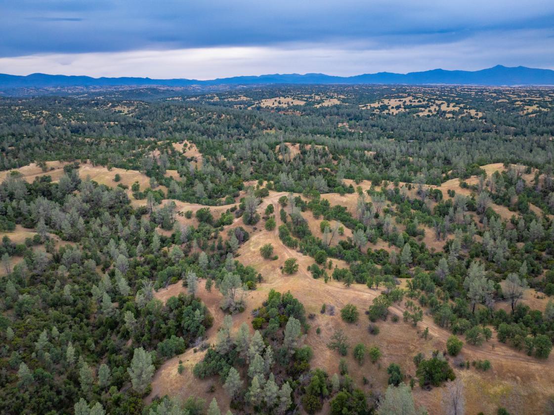 480 Acre Litte Crane Creek Ranch - photo 18