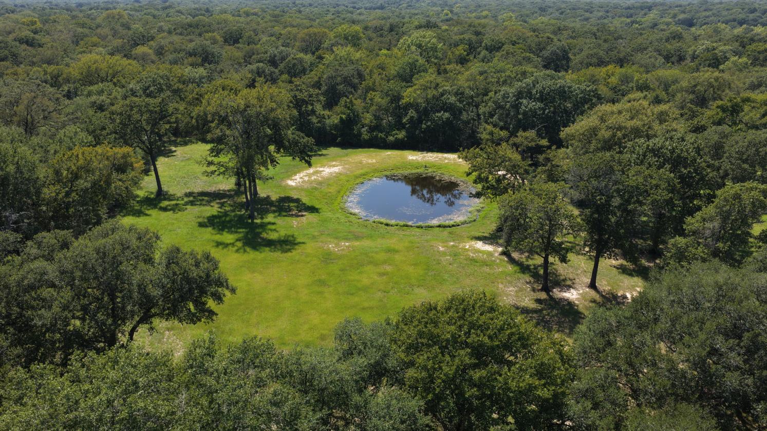 Lone Star Acres - photo 28