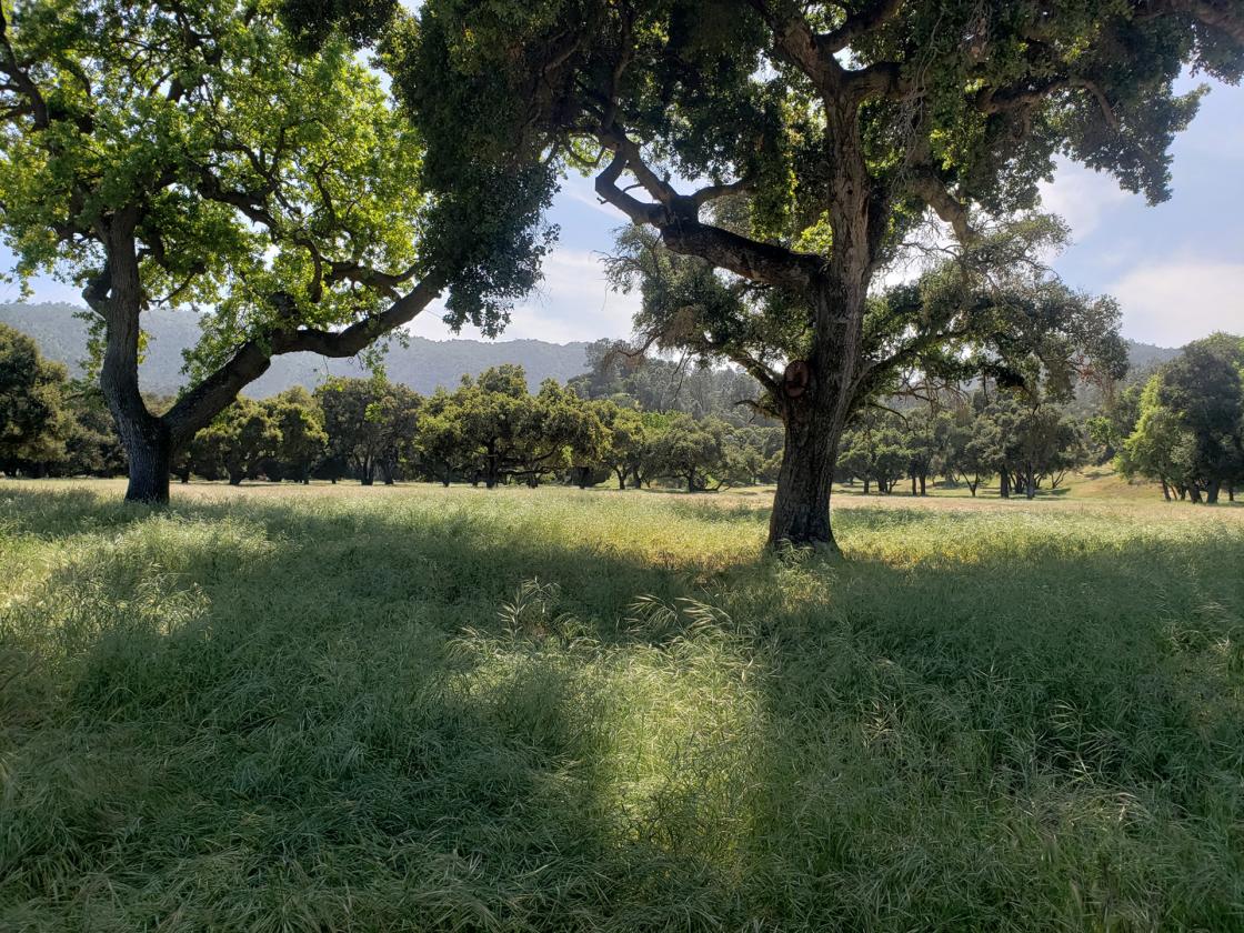 DOUBLE SEVEN ZERO RANCH - photo 6