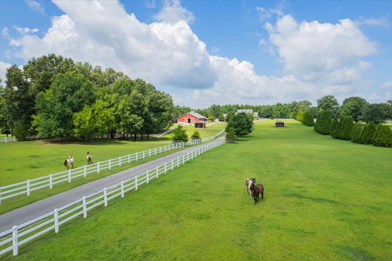Luxury Equestrian Estate on 13.5 Acres - photo 25
