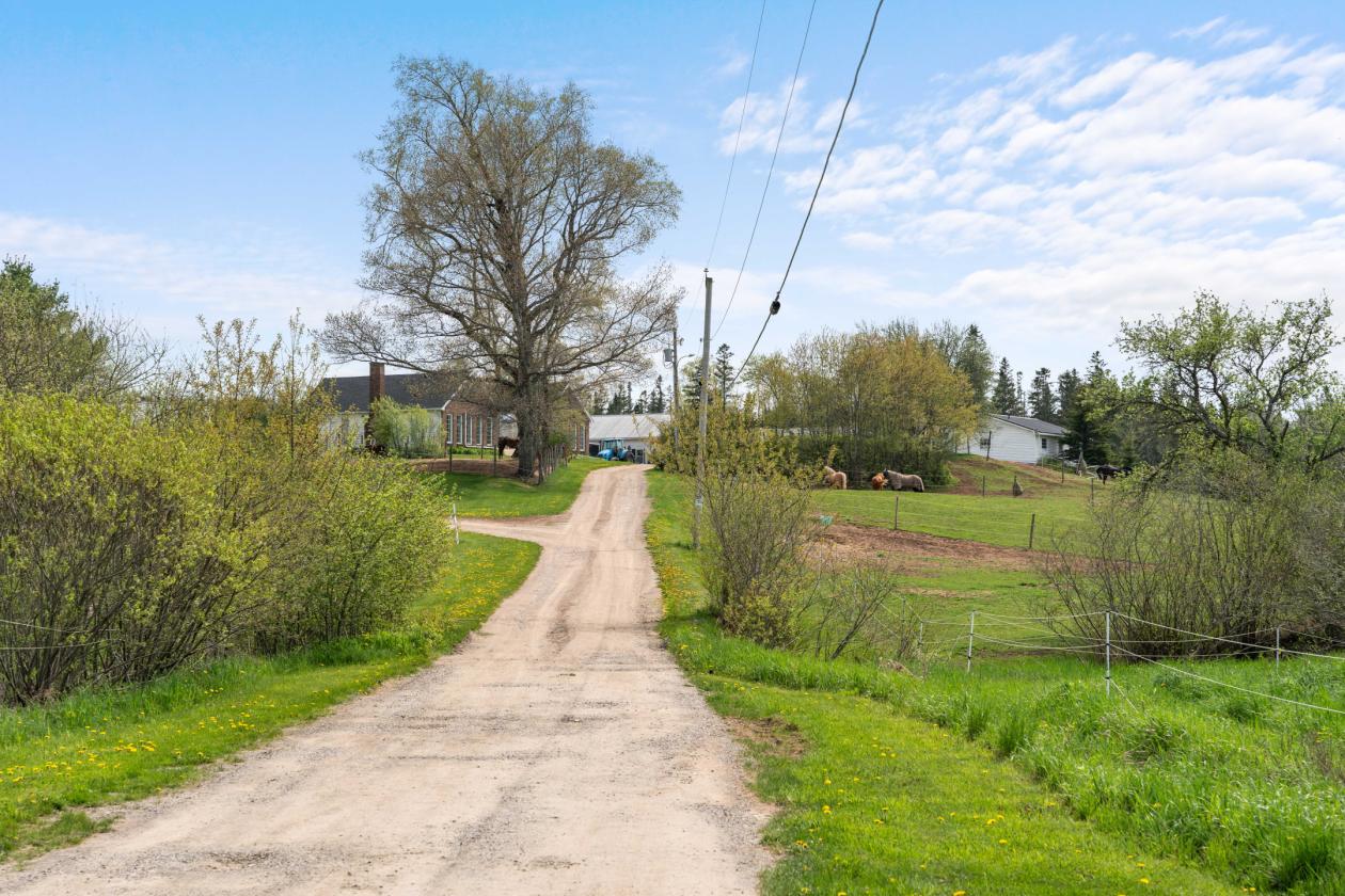 41 Acre Equestrian Facility with 2 homes For Sale - photo 6
