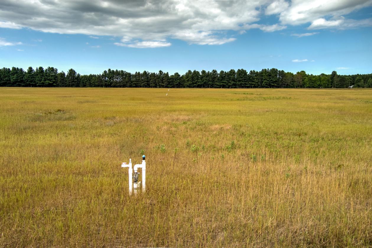 50.20 ACRES – BUILD YOUR EQUESTRIAN ESTATE & FARM - photo 8
