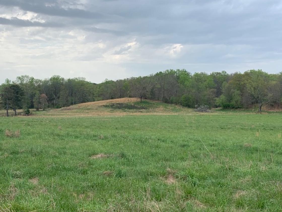 Madison County - Large Estate Farm - photo 17