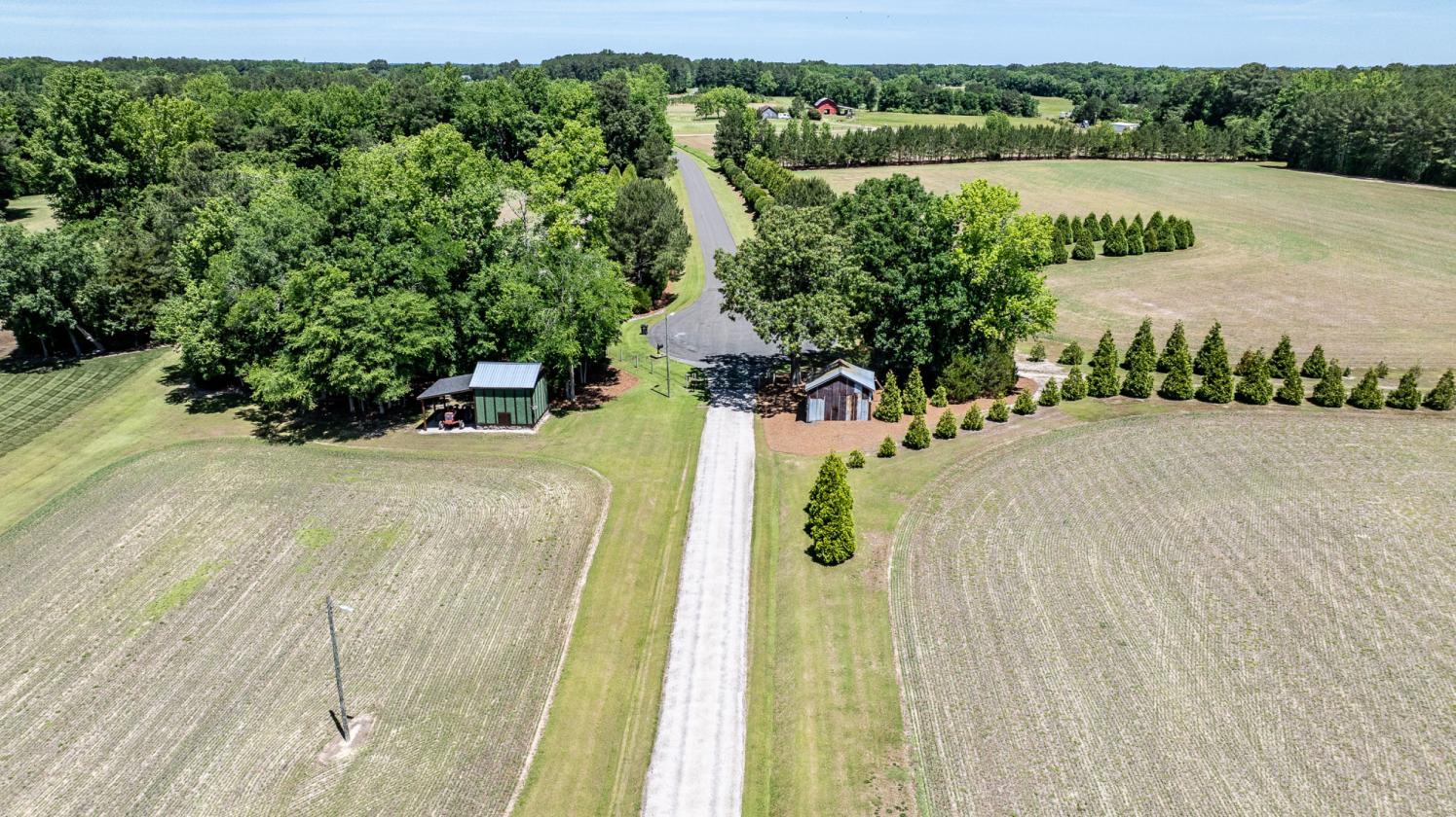 87.84 ACRES WITH FARM HOUSE AND POND - photo 5