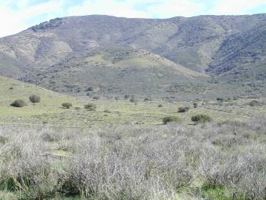 Property image.