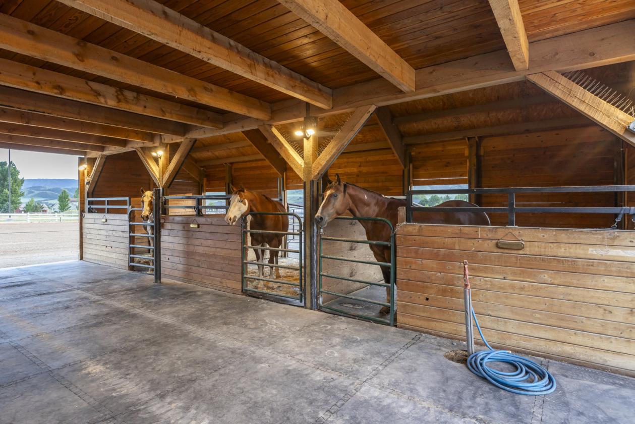 Horse Lover's Paradise - photo 25