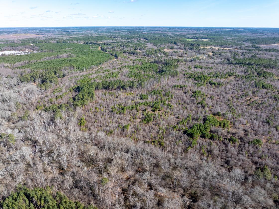 211 Acres- Luxury Estate & Equestrian Development - photo 29