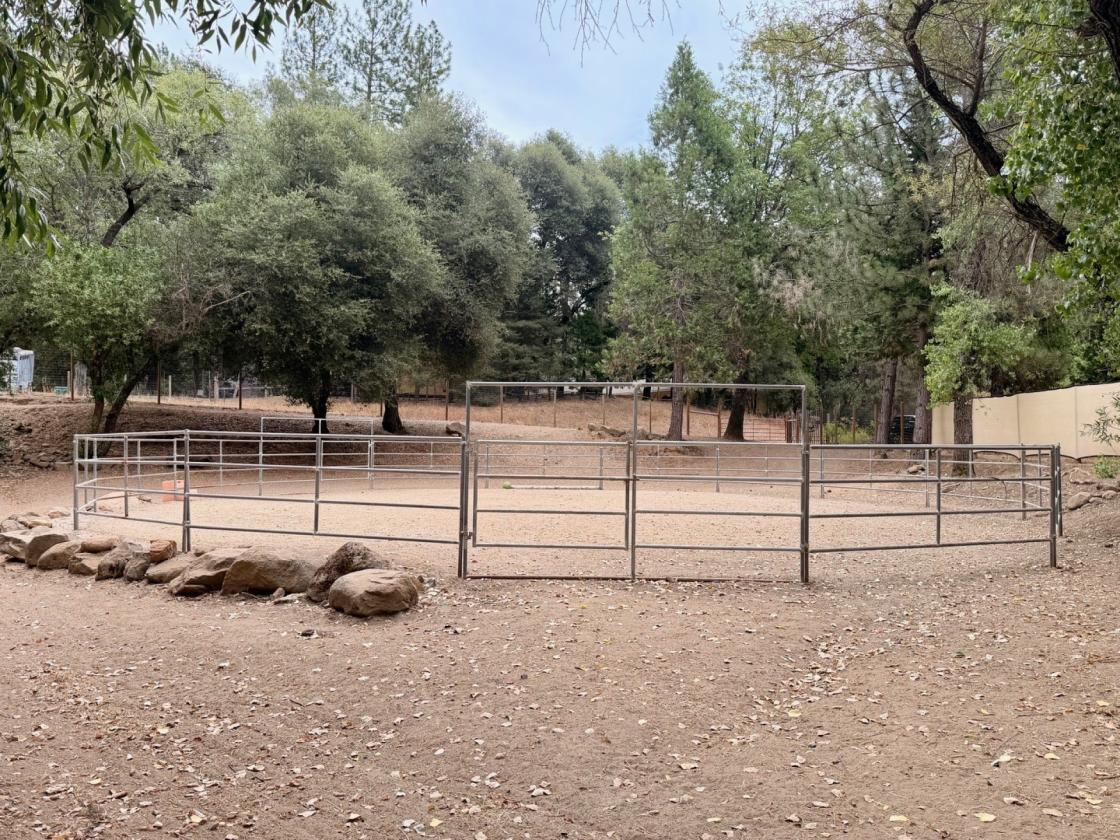 2-Acre Hobby Farm with Horse Amenities - photo 28