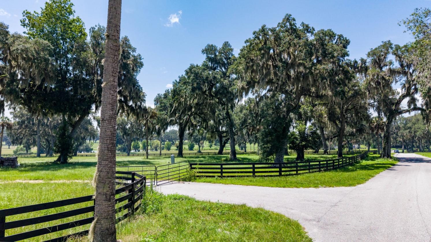 Equestrian home site with incredible view - photo 15