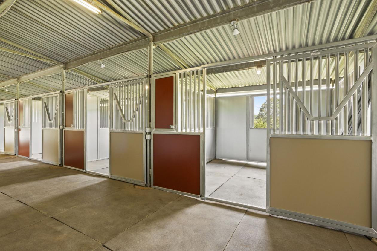 25-acre farm with 10 stalls and riding arena - photo 5