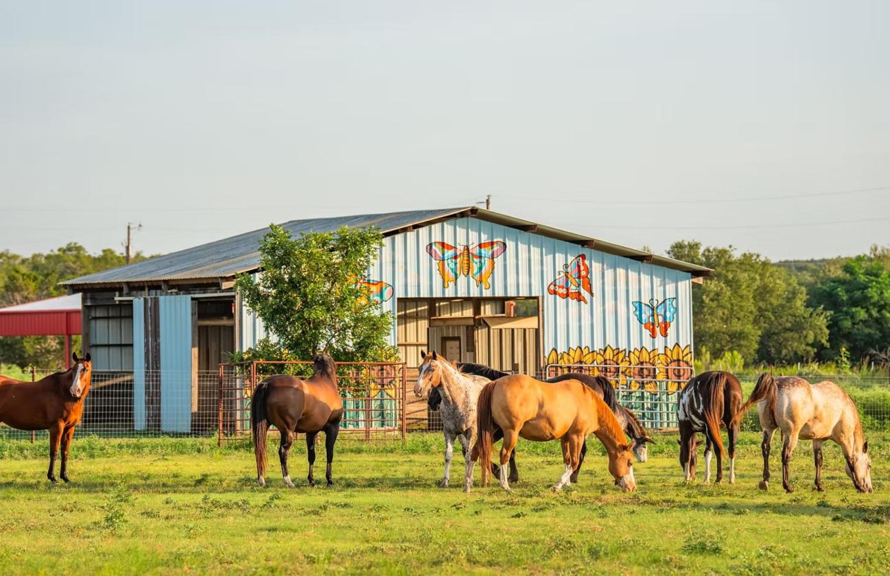 Hill Country Horse Ranch - photo 25