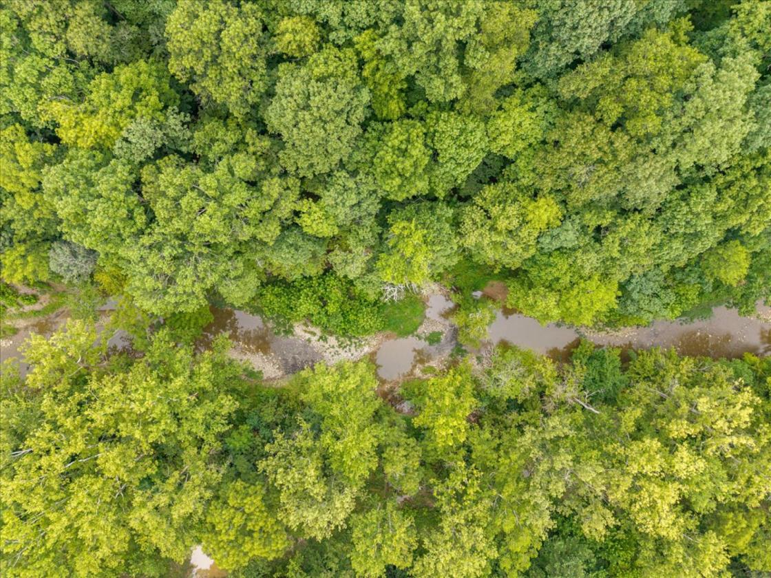 Over 173 acres for your equestrian dreams - photo 3