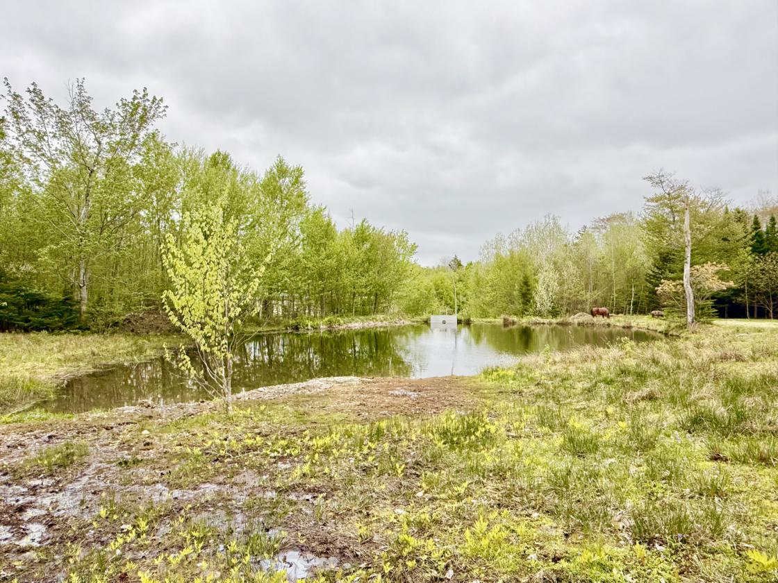 Lakefront Equestrian Estate - photo 8