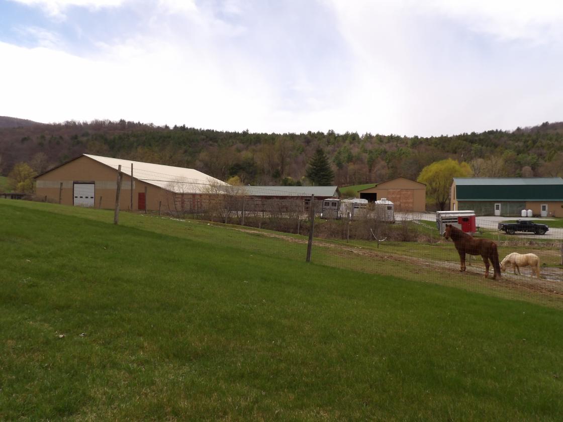 A horse lovers dream! - photo 1