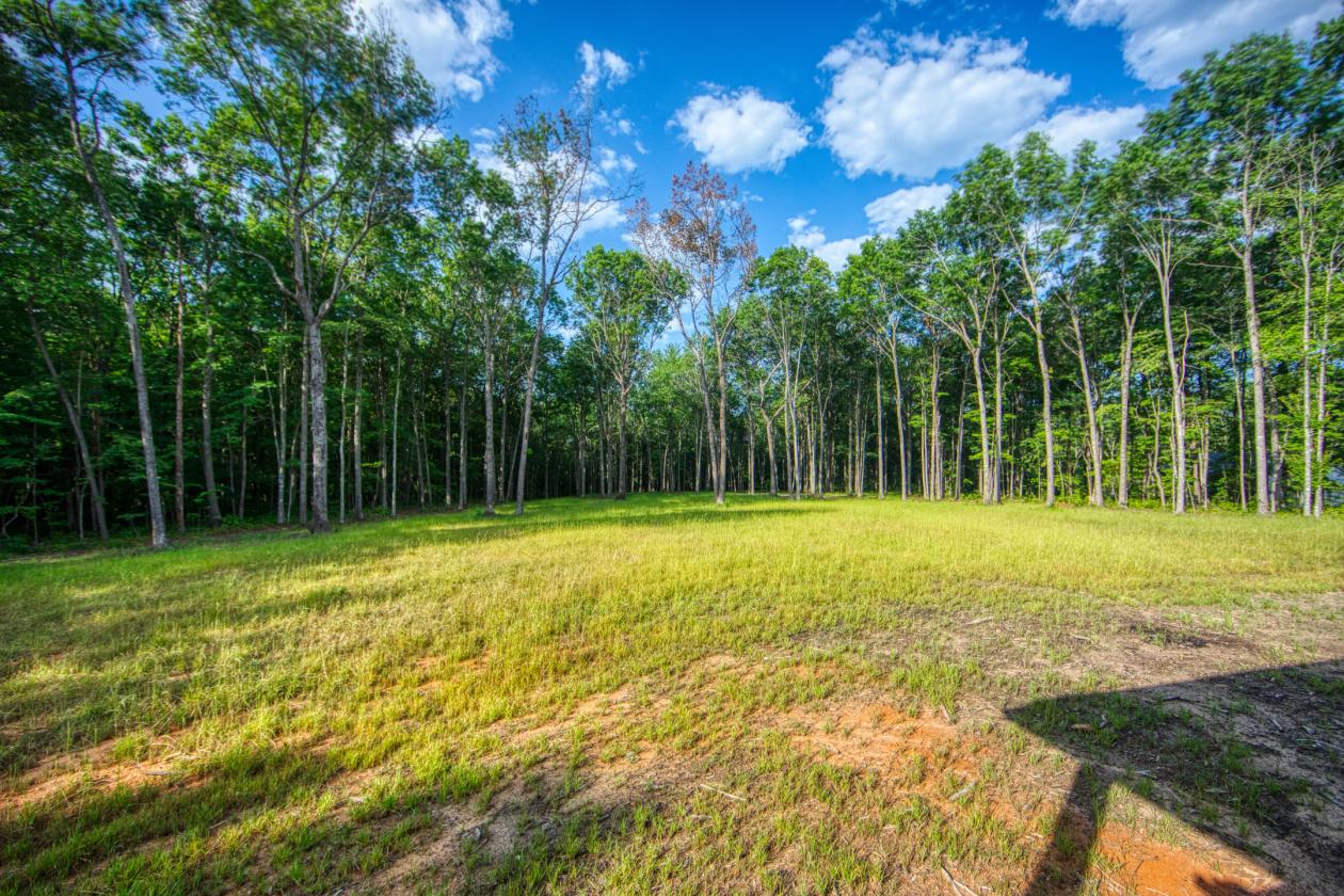 New Build in Ridgetop Acres - photo 24