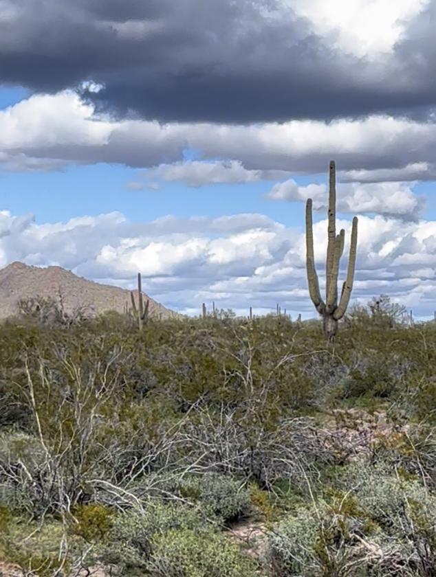 Five Acres Under the Arizona Sky - photo 2