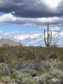 Property image.