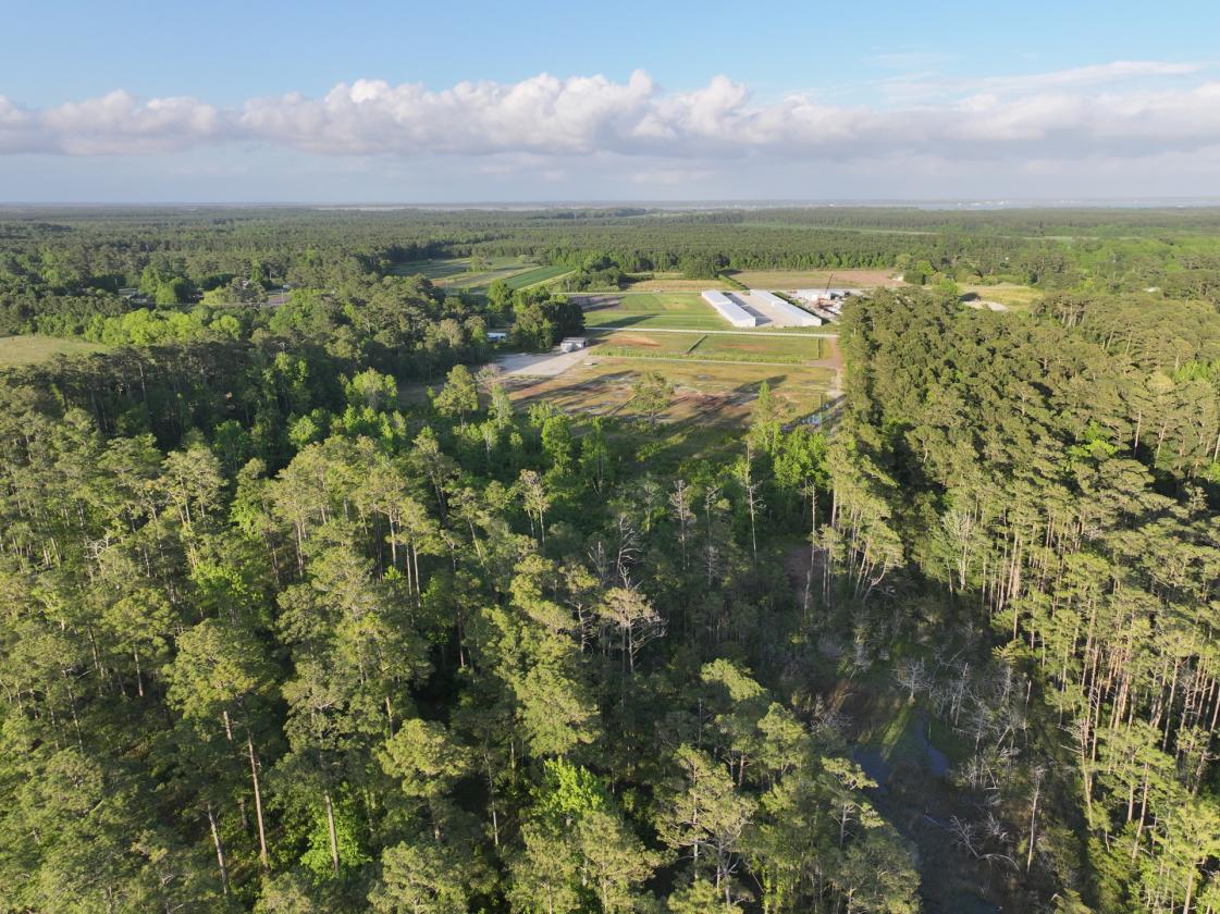 Premier 22± Acre Waterfront Equestrian Estate - photo 8