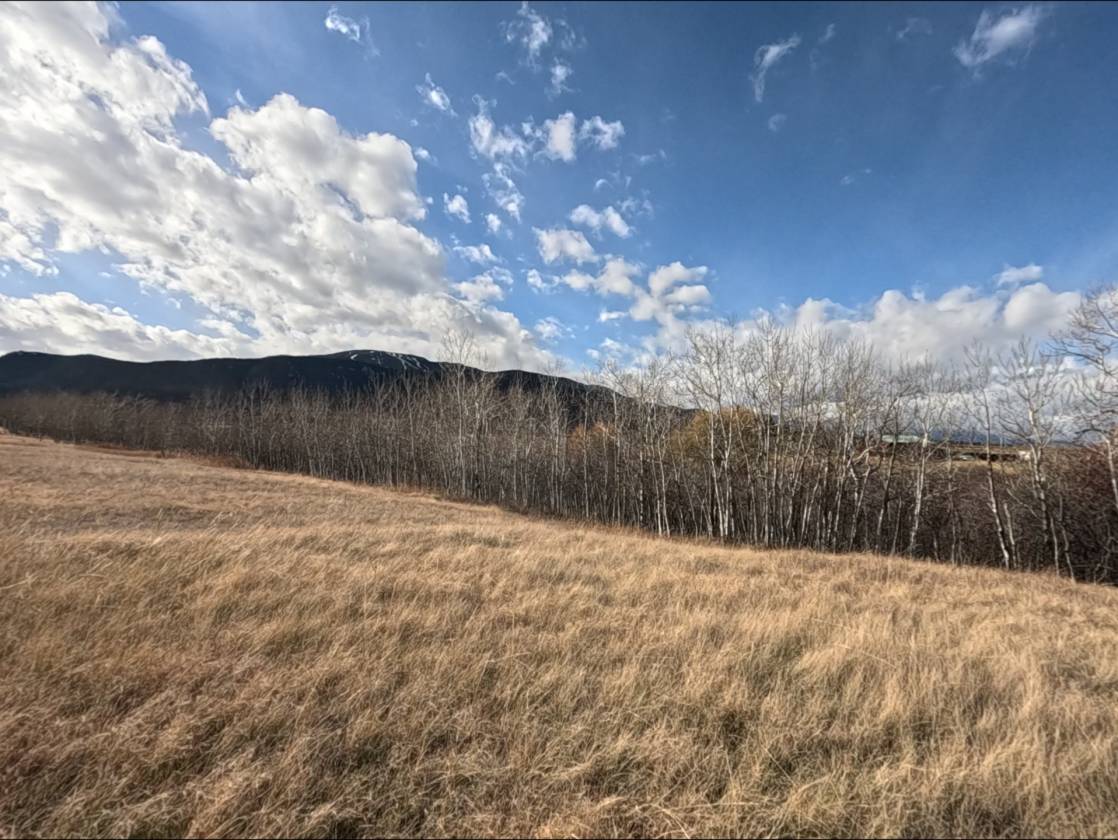 15.268 Acres! Creeks! Trails! Views! Meadows! - photo 21