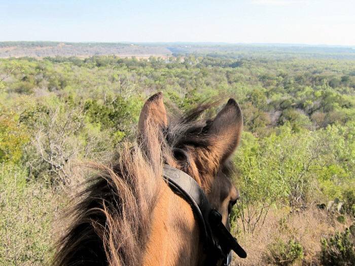 Horse Property for sale.