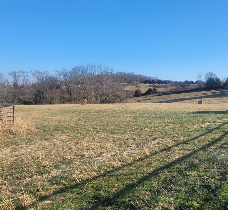 Investment opportunity/Equestrian Facility - photo 20