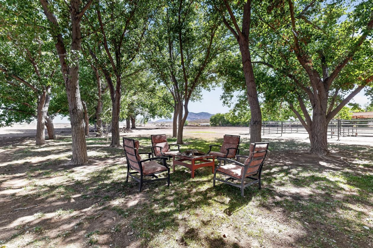 20.4 Acres WATER for growing and horse - photo 4