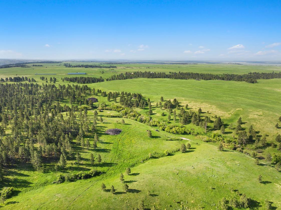 Horse Property for sale.