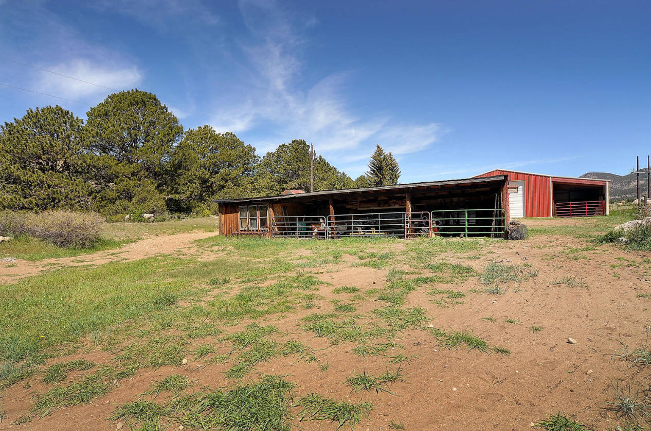 103 Acre Mountain Ranch with Deeded Water Rights Buena Vista, Chaffee