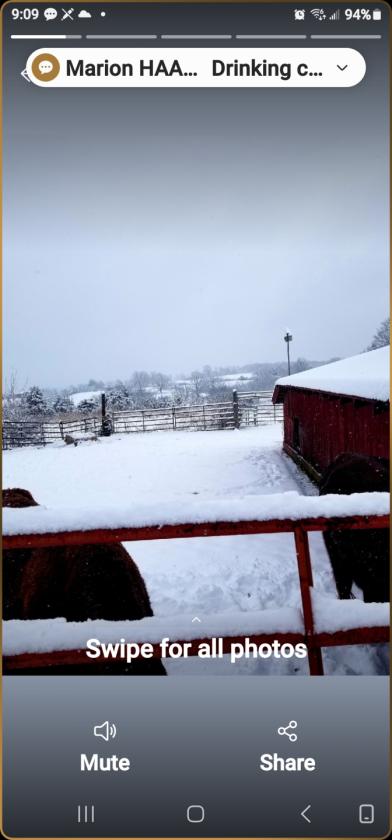 Investment opportunity/Equestrian Facility - photo 13