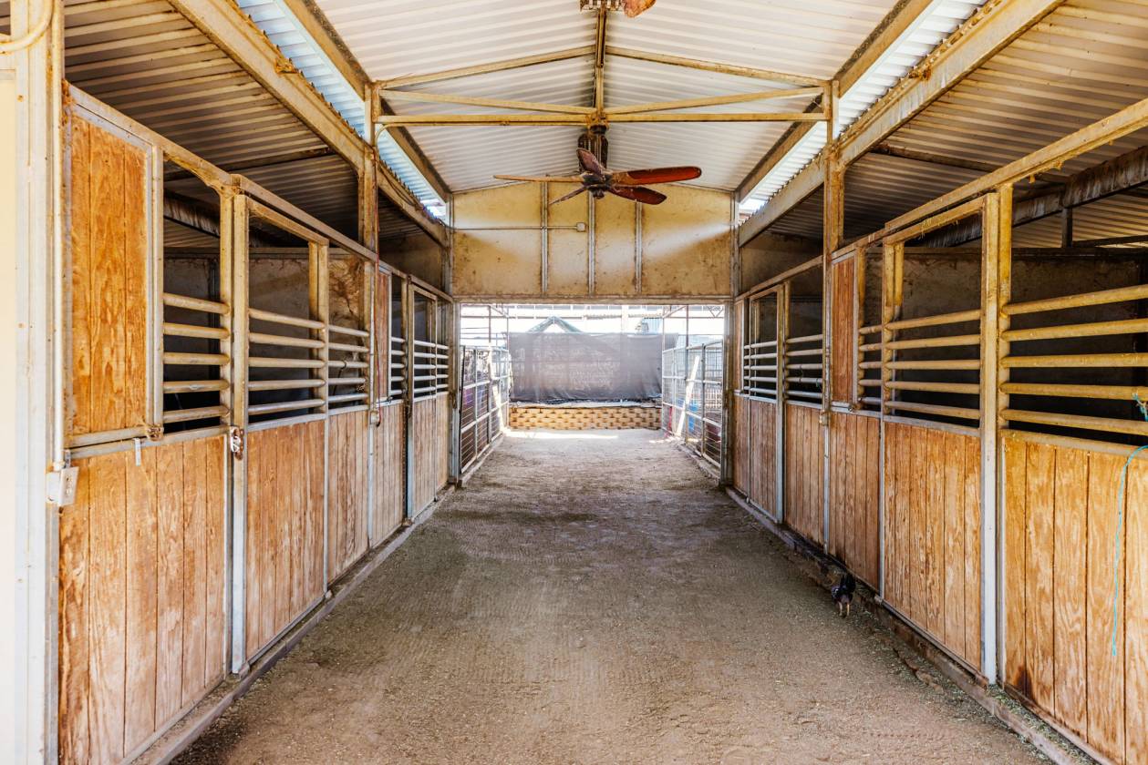Horse Ranch w/ Arena, Barns, & RV Hookups - photo 25