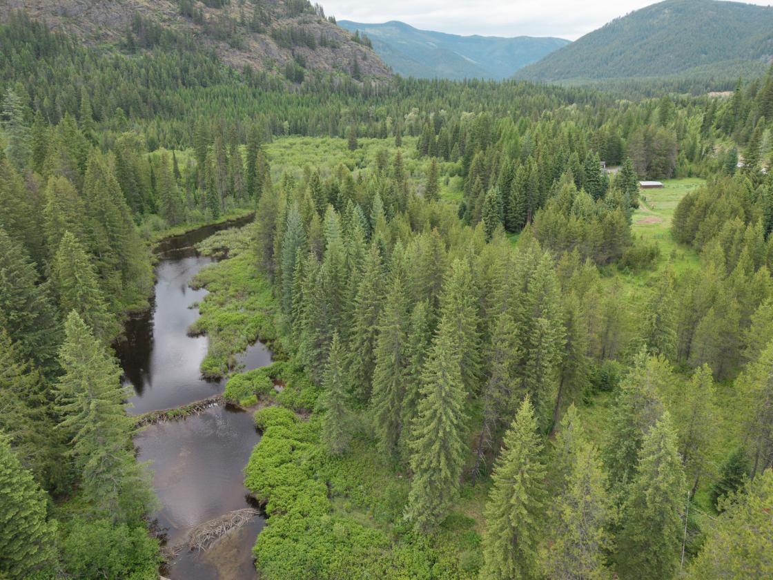 A Rare Opportunity to Own 155 acres - photo 1