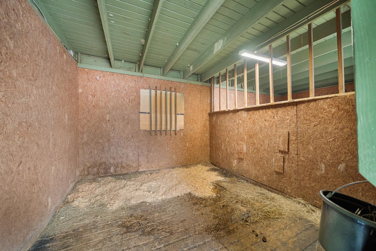 Horse Property with Gorgeous views - photo 5