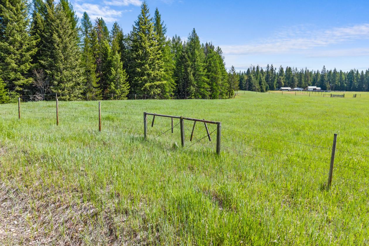 Level 20.65 acres w/Creek, Pasture & Woods - photo 15