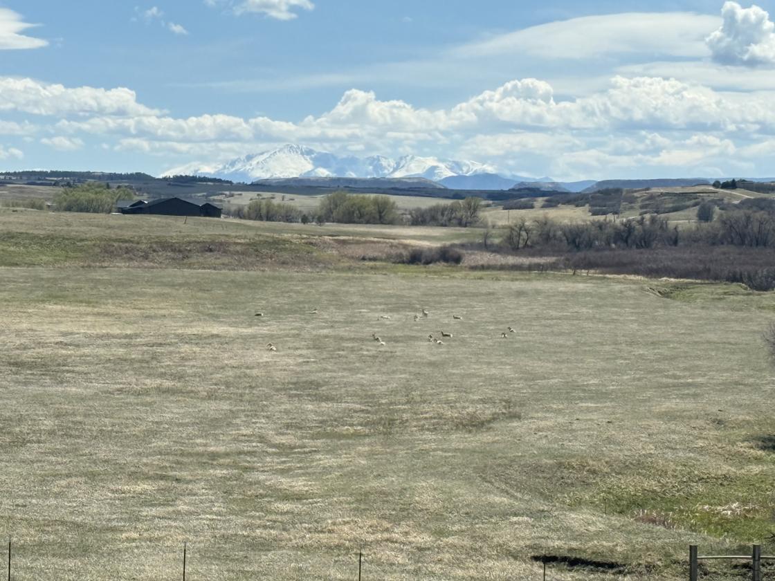 Castlewood Canyon Ranch - photo 20