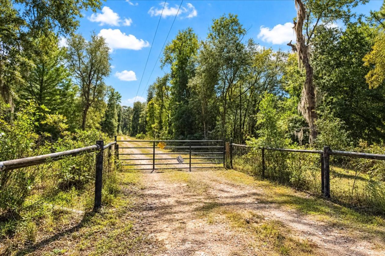 32 ACRES IN LEVY COUNTY NEAR WILLISTON - photo 13