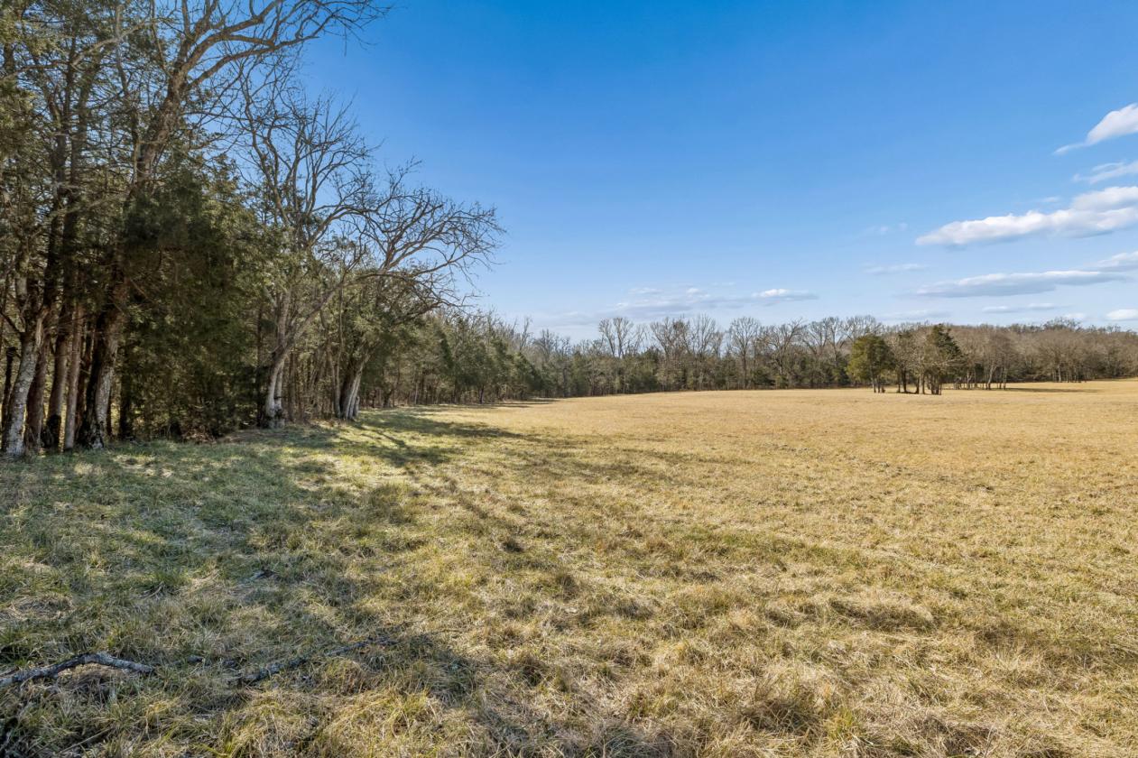 175 Gorgeous Acres - photo 14