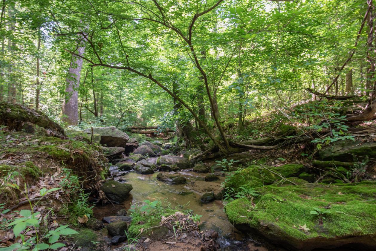 1028 ACRES - SPORTING/EQUESTRIAN - photo 9