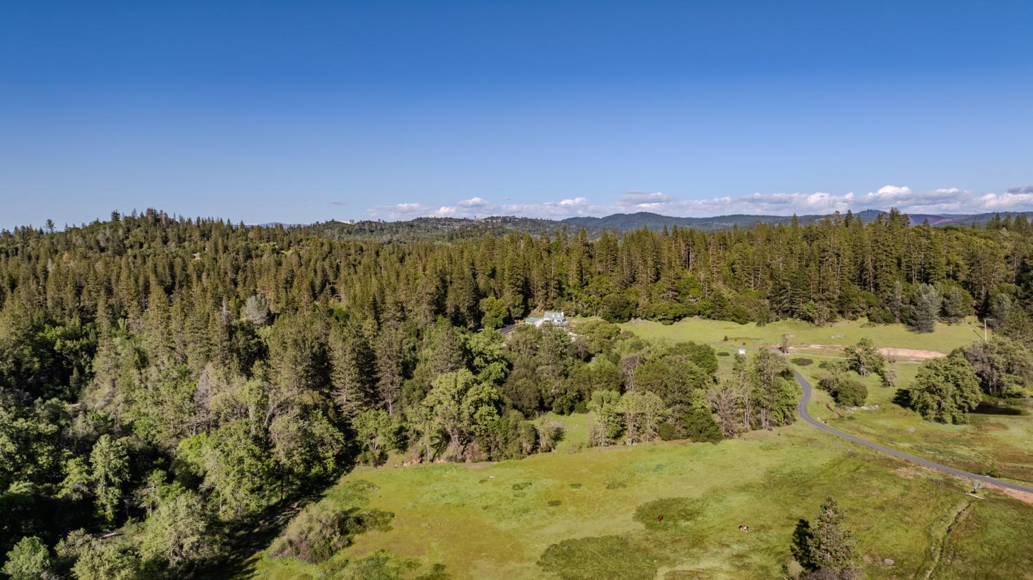 40 Acres - Fully ADA/Wheelchair Accessible - photo 10