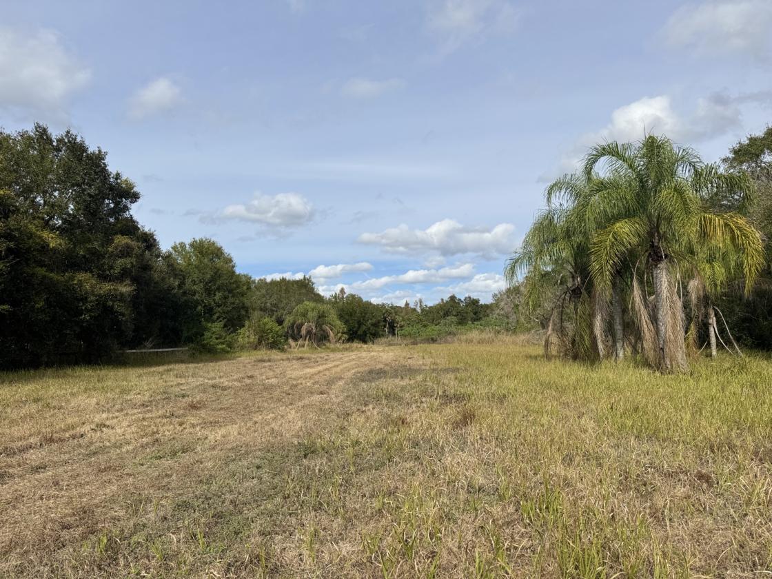 15 Acres Keystone - photo 5