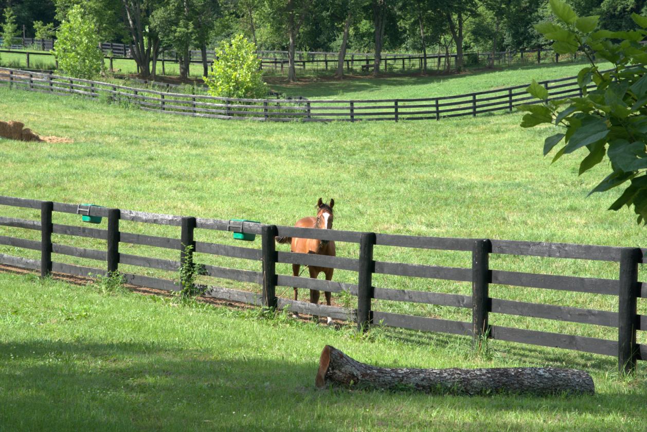 Boutique Farm in the Heart of the Bluegrass - photo 2