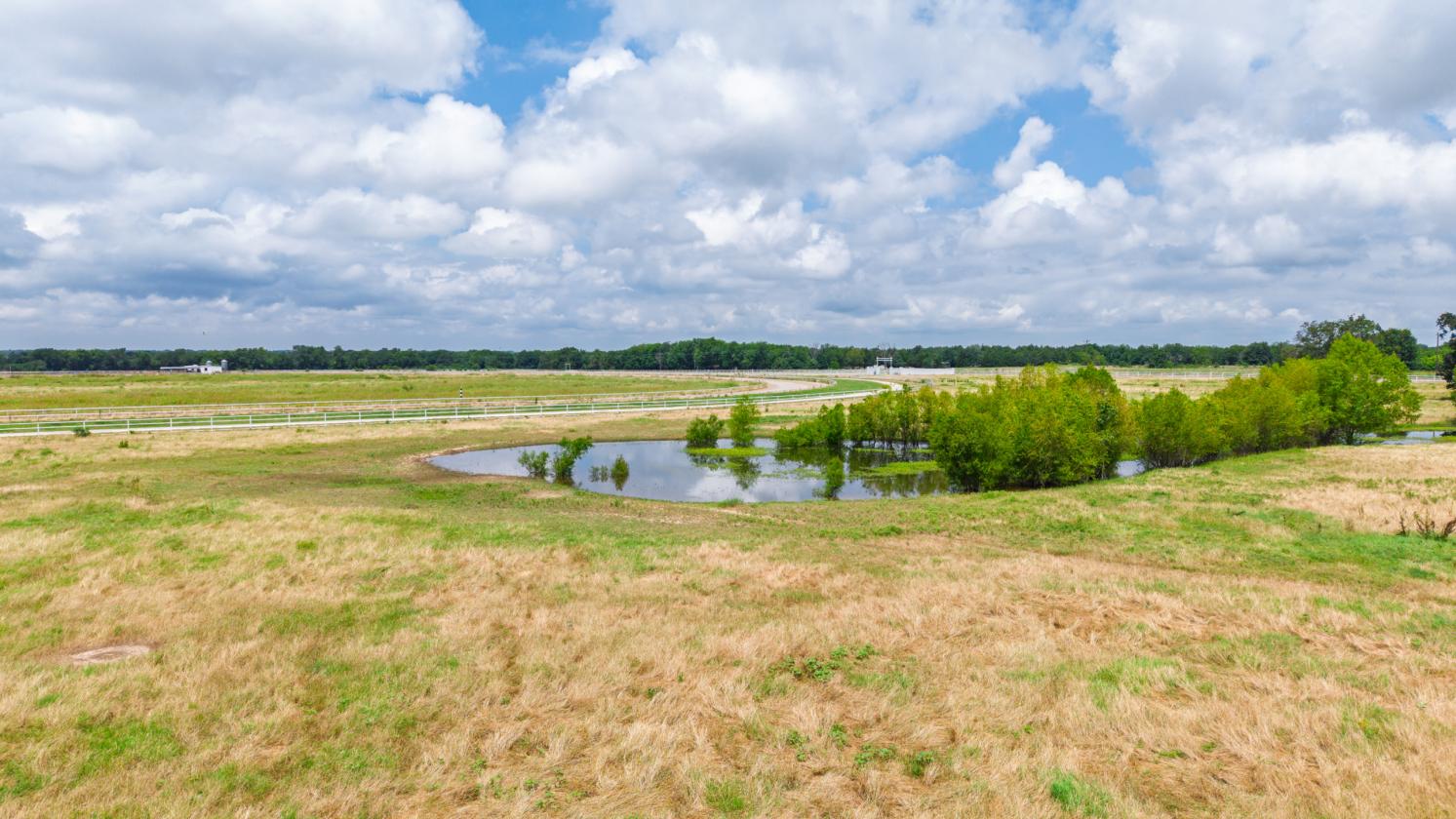 DIAMOND D RANCH EQUESTRIAN ESTATE - photo 21