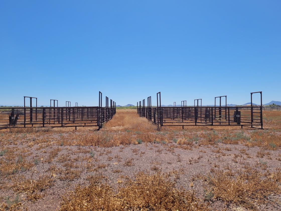 Eagle Eye - 10± Acres - photo 4