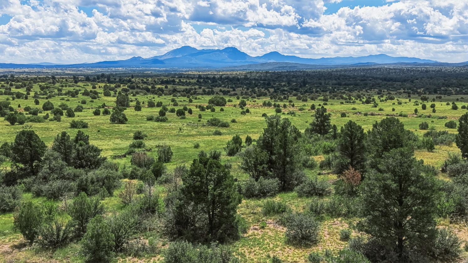 200 Acres in Yavapai County - photo 14
