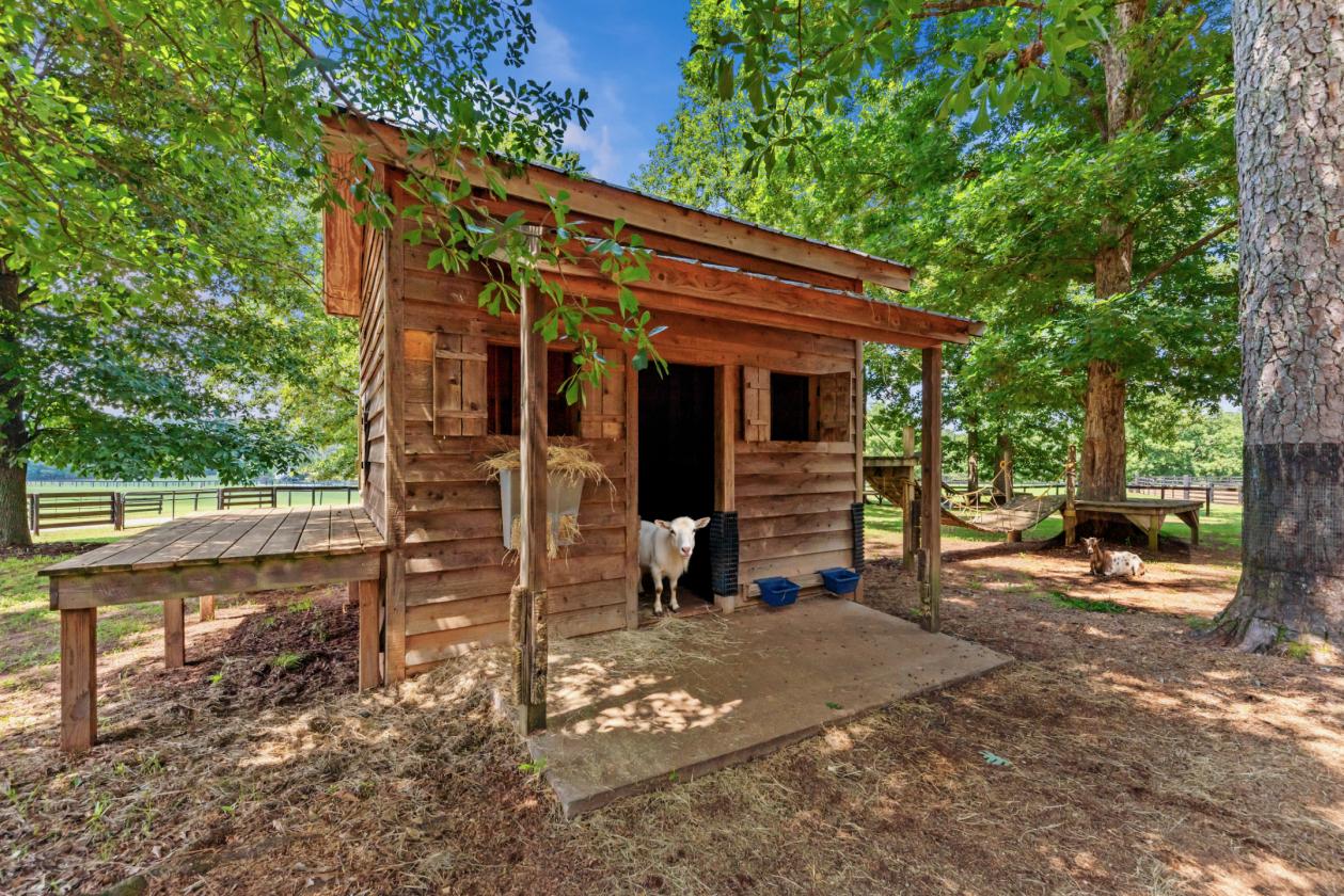 Luxury Equestrian Estate - 96 Acres - photo 27