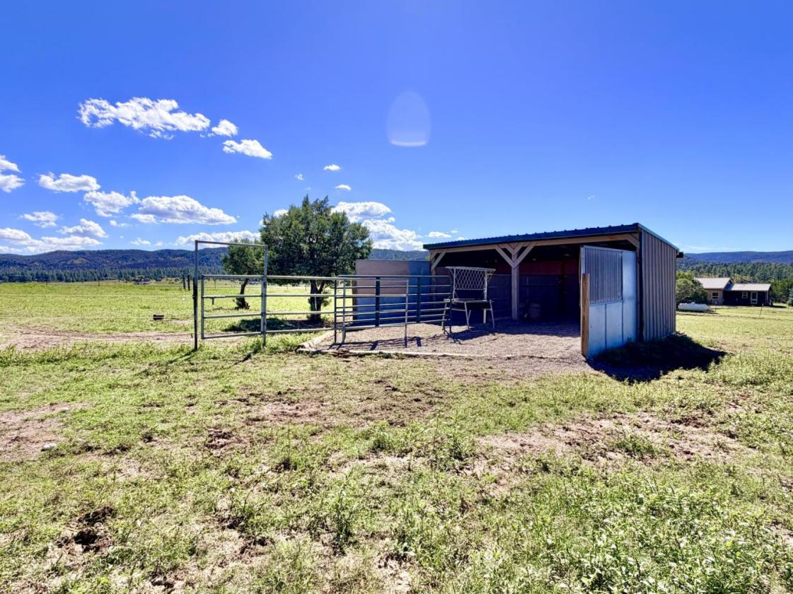 20+ Acre Horse Property w/ Direct Trail Access - photo 29
