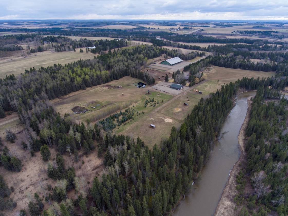 Beautiful 101 Acres w/ Country Home, Equestrian Arena & Barn